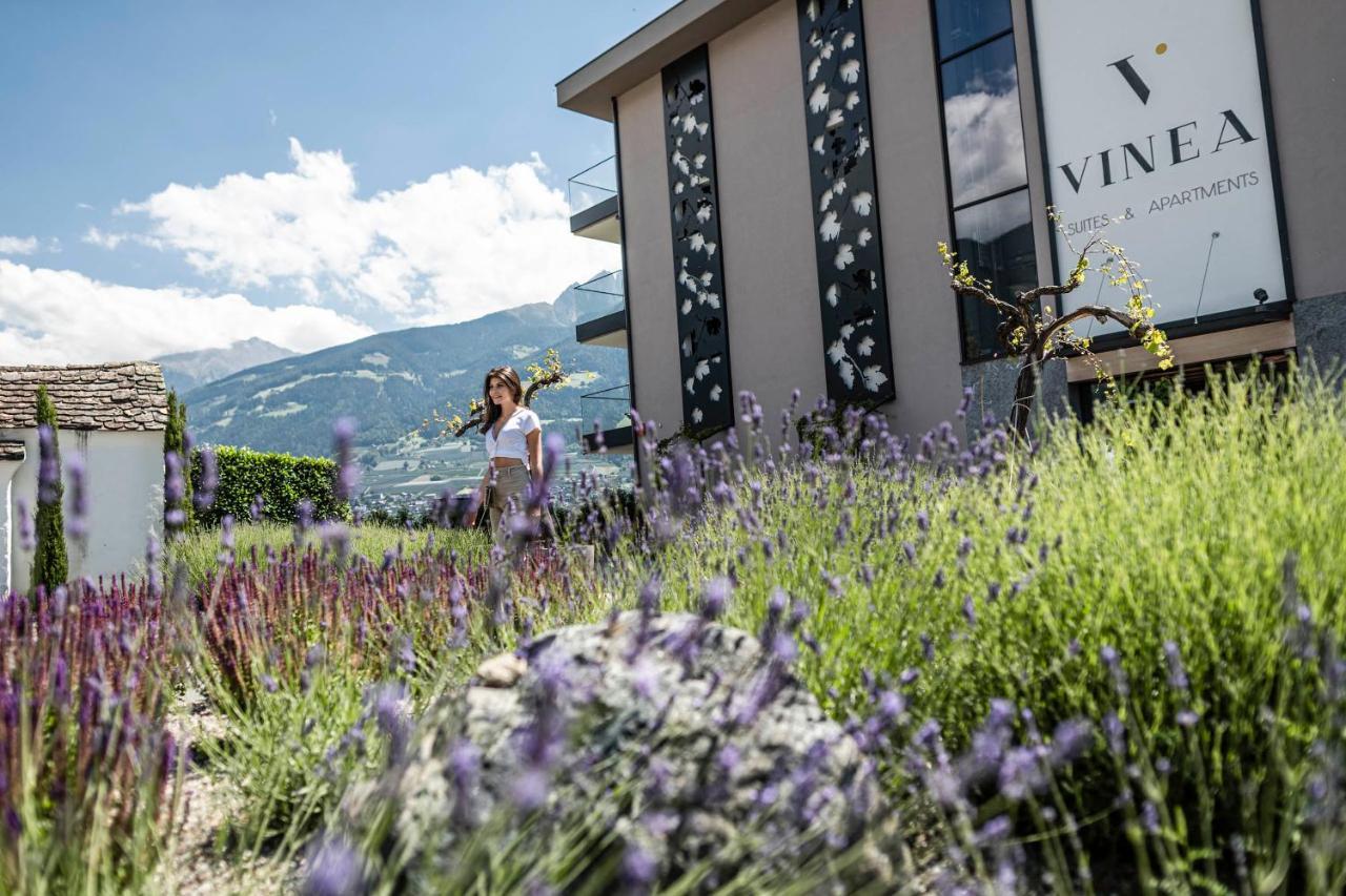 Vinea - Apartments Tirolo Exteriör bild